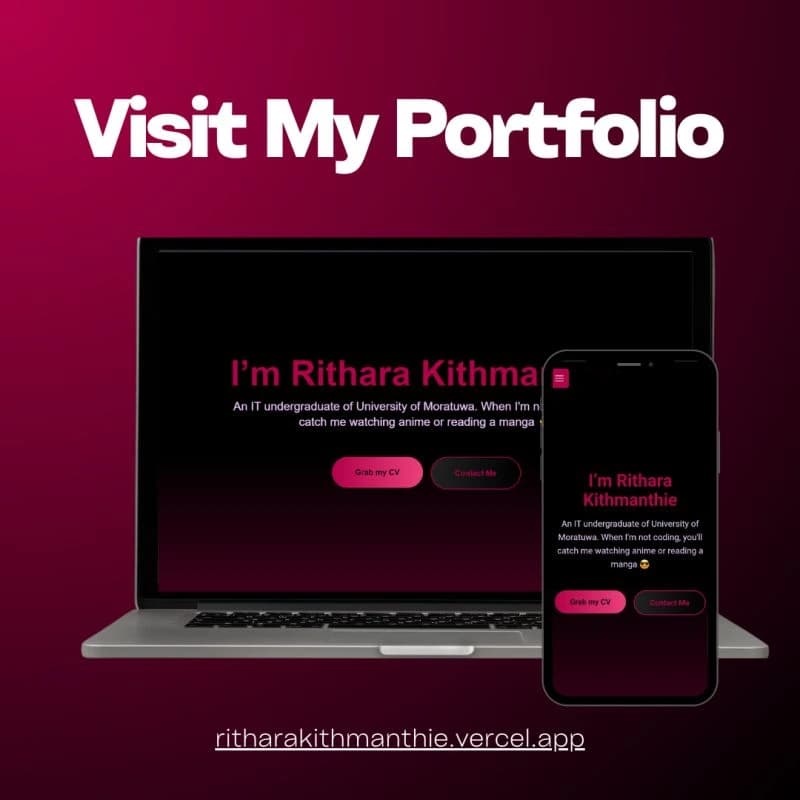 Portfolio 1.0